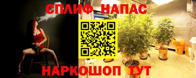 стафф Бийск