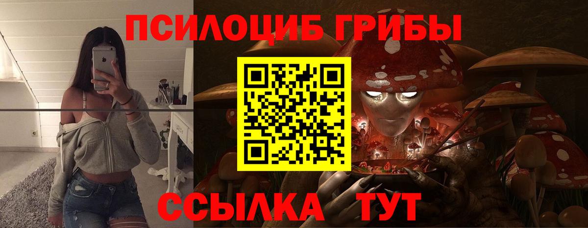 Галлюциногенные грибы прущие грибы  Вход с VPN  Каменск-Шахтинский 